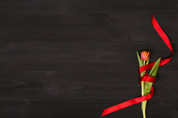 Red tulip in the black wooden table. Banner template layout mockup for Woman Day, Valentines Day and Teacher's Day. Photo for posts, blogs, advertising and news.