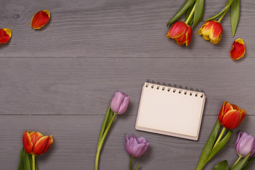 Lilac and red tulips and banner space for text in the lilac wooden table. Banner template layout mockup for Woman Day, Valentines Day and Teacher's Day. 