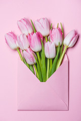 Pink tulips in an envelope