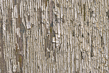 Obraz premium The old cracked paint on a board