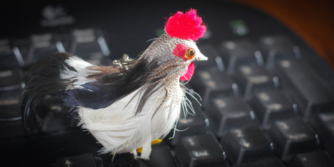 Rooster with red comb on the computer keyboard