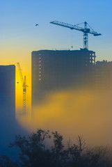 Cranes over new buildings in the early foggy morning. - 134947130