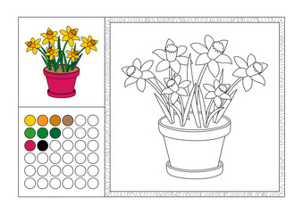 adult coloring book page with colored template, decorative frame and color swatch - vector black and white contour picture - yellow daffodils in hot pink flower pot