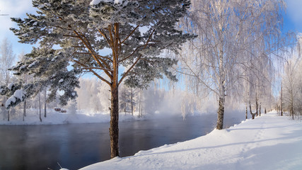зимний пейзаж на берегу реки с туманом и с деревьями в инее, Россия, Урал, февраль 