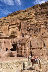 Ancient abandoned rock city of Petra in Jordan tourist attraction 