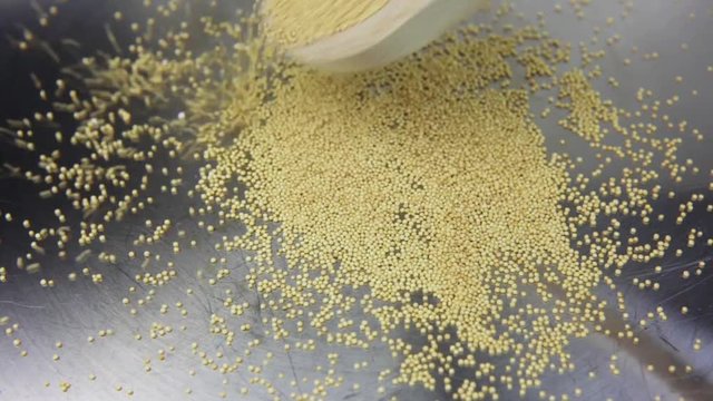 Amaranth being popped in a  pan close up 