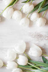 White tulips on wood background
