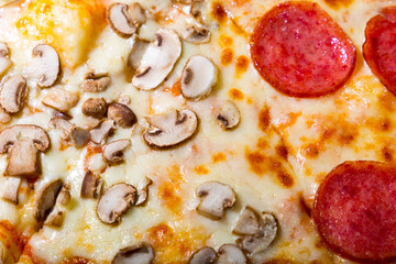 Four taste pizza with pepperoni cheese mushrooms and becon useful for background