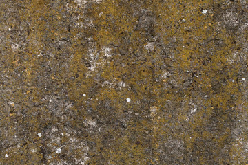 Old concrete wall with moss on, texture. Mossy concrete surface wallpaper. Mossy beton background image. Beton with bryophyte backdrop. Moss-grown old beton wall.