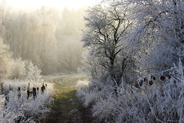 Romantic winter landscape