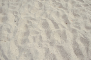 Beach sand as background