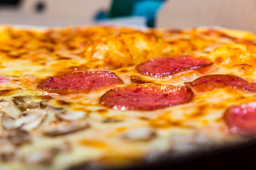 Four taste pizza with pepperoni cheese mushrooms and becon useful for background