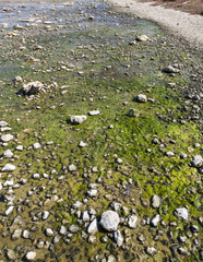 Scenic view over one of the beaches of Rottnest island, Australi