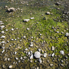 Scenic view over one of the beaches of Rottnest island, Australi