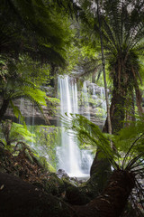 Russell Falls, Mount Field National park, Tasmania, Australia