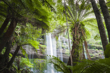 Russell Falls, Mount Field National park, Tasmania, Australia