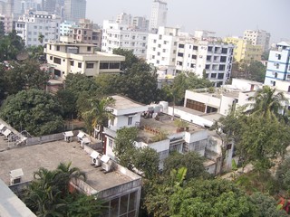 Naklejka premium Green Shoots in the Dhaka Concrete Jungle