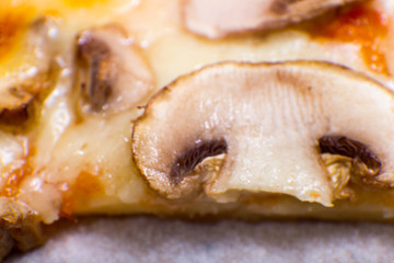 Four taste pizza with pepperoni cheese mushrooms and becon useful for background