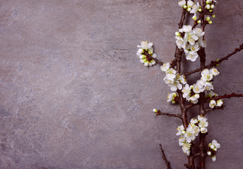 Obraz na płótnie Canvas Spring floral moody background