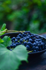 Blue grape on a wooden background