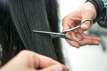 Male stylist cutting split ends on his female client with scissors at the hair salon.