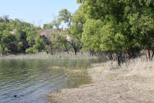 The Telaiya Dam on river Barakar Jhumri-Telaiya, Koderma, Jharkhand