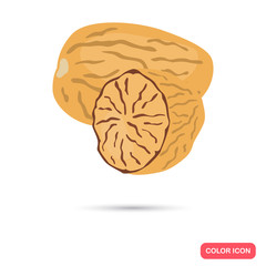 Nutmeg color icon in cartoon design