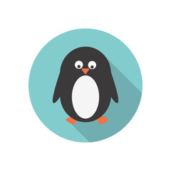 Cartoon penguin color flat icon