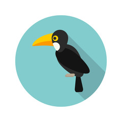 Toucan color flat icon