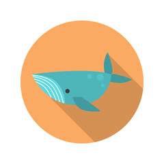 Whale color flat icon