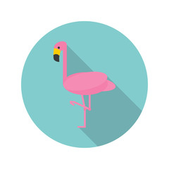 Flamingo color flat icon