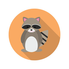 Raccoon color flat icon