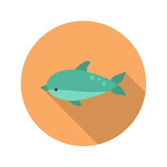 Dolphin color flat icon