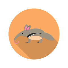 Anteater color flat icon