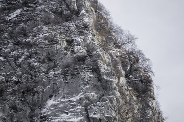 Rocky snowy slope and vegetation