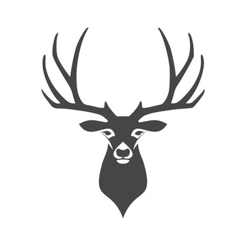 Deer head illustration vector icon