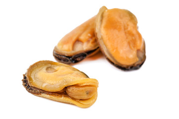 three delicious mussels