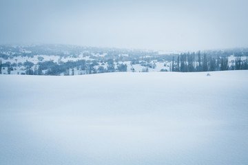 Fototapeta na wymiar Winter view of the village