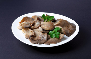 Marinated Oyster Mushrooms with parsley leaf on a plate isolated