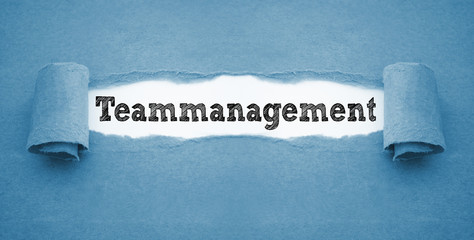 Teammanagement