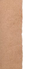 Fototapeta premium Vertical ragged paper border on white background. Close up shot. Old ragged paper on white. Old cardboard ragged edge. Frayed edge of old paper or carton. Jagged side of brown cardboard or old paper