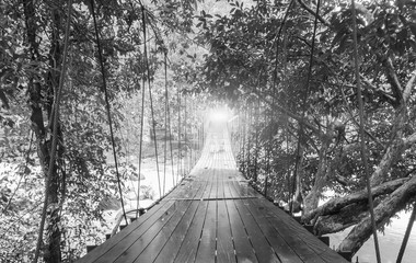 Fototapety  Koncepcja linii mety lub celów. Światła na końcu perspektywy Wiszący drewniany most jako chodnik wraz z fantazyjnymi, monotonnymi szarymi liśćmi drzew nad rzeką w Parku Narodowym Ranong, Thatiland
