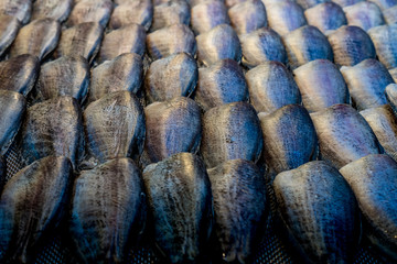 Dried fish in the market