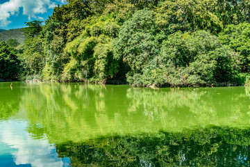 Mountain trees and green lake