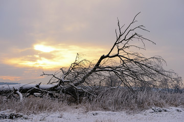 Sunset on Havel river landscape in winter time