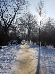 Park zimą © michalsen