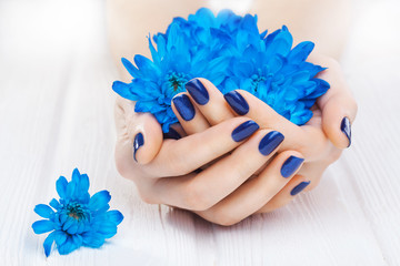 blue manicure with chrysanthemum flowers. spa - obrazy, fototapety, plakaty