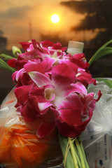 Set morning offerings of  food, money and flower for monk.