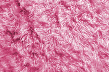 Wool Backgrounds Texture, Closeup of Natural Soft Pink Animal Fluffy Fur Background Texture for Luxury Furniture Material or used as Background Texture as Mock up / Template to input Text