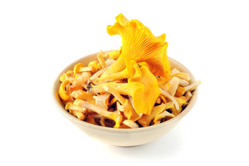 bowl of golden chanterelle mushroom on white isolated  backgroun